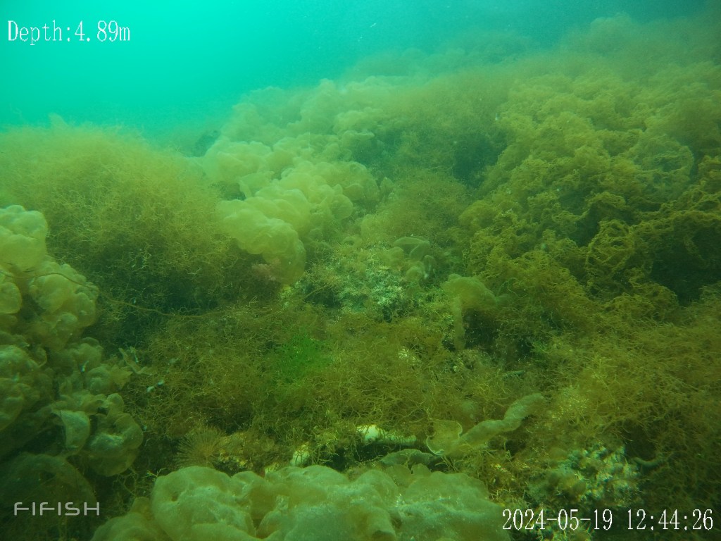 白石島新港学術利用協会スタート